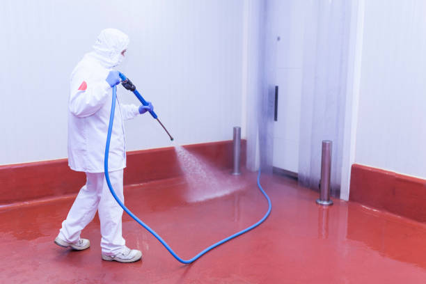 Best Pre-Holiday Cleaning  in Madison, IL